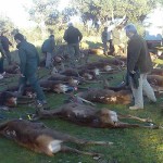 De cacerias y monterias.. (entrada de manolo)